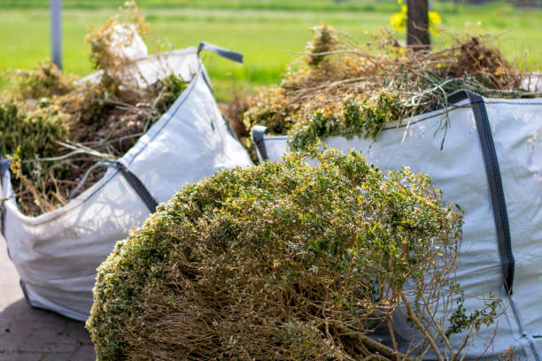 Shed Removal in Yreka, CA